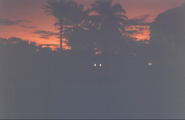 tramonto beira_small.jpg